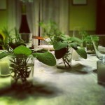 holiday herb centerpiece