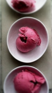 blood orange sherbet